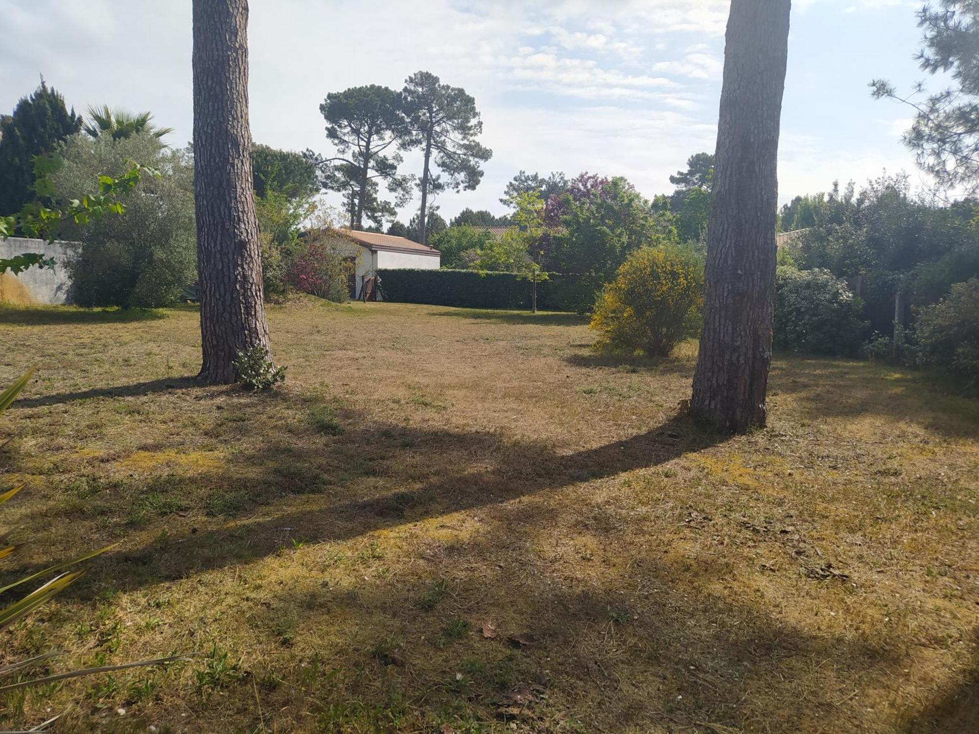 Petite Maison A - * Biscarrosse